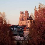 programme immobilier Orleans dispositif monuments historiques avec vue sur des arbres et cathédrale
