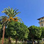 Investissement locatif à Nice pour défiscaliser et réduire ses impôts avec un parc arboré