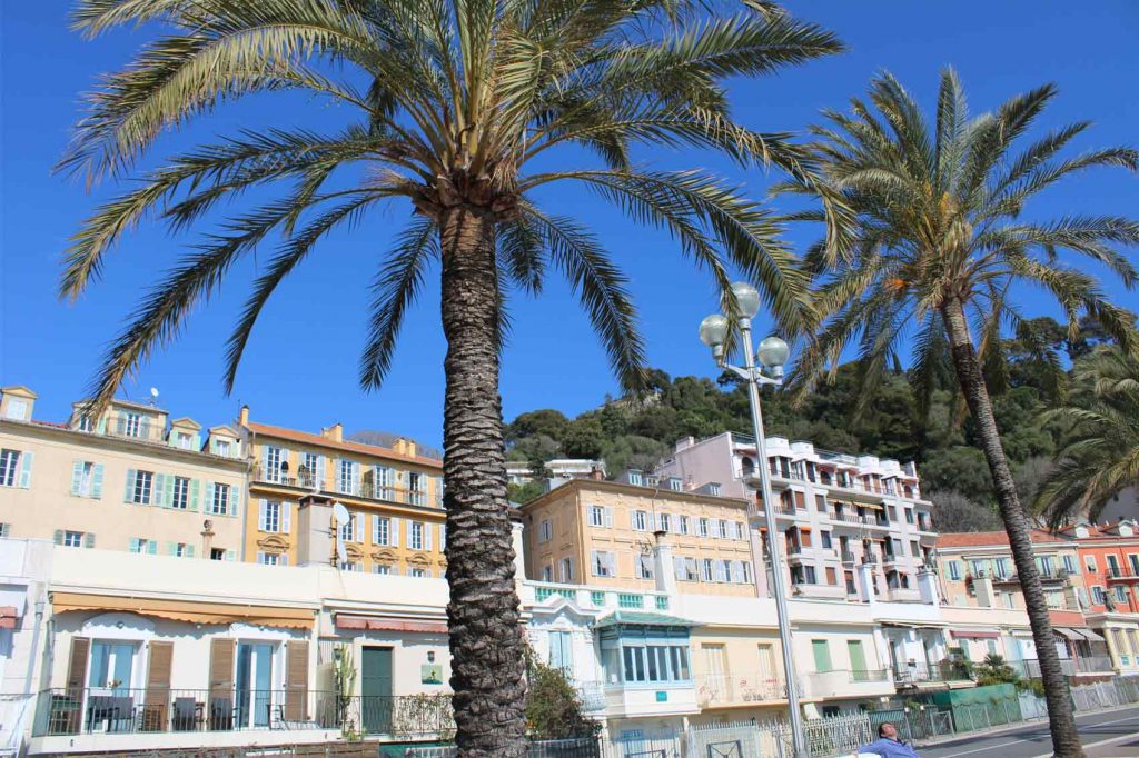 LMNP Nice pour bénéficier d'un fort avantage fiscal avec vue sur la mer et palmier
