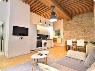 investir en lmnp-bel appartement à Lyon-mur en pierre-parquet