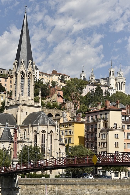 investissement immobilier expatriés-vue de la ville de Lyon