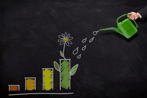 achat revente-investissement-croissance-arrosage